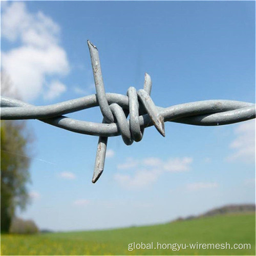 Razor Wire Fence high quality security factory barbed wire spiral Factory